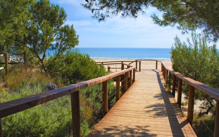 Camino Playa Hotel Romana