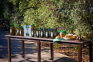 Aceite de Oliva Servigroup