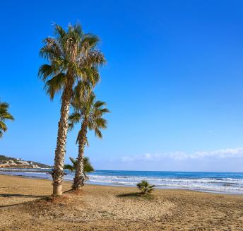 Logo Hoteles Servigroup