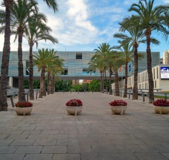 Ayuntamiento de Benidorm