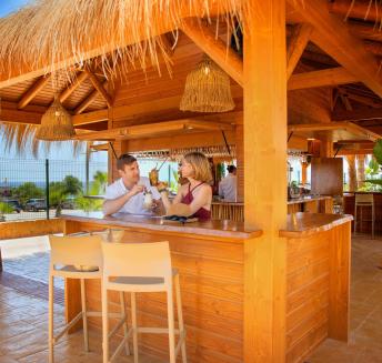 Bar en la piscina la Palapa