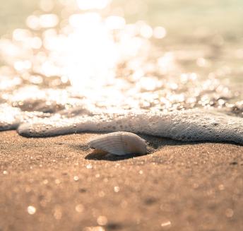 Logo Hoteles Servigroup