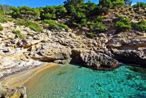 La cala Racó de Conills rodeada de naturaleza virgen