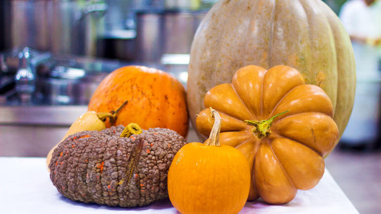 Calabaza para Halloween Calabaza perfecta para decorar