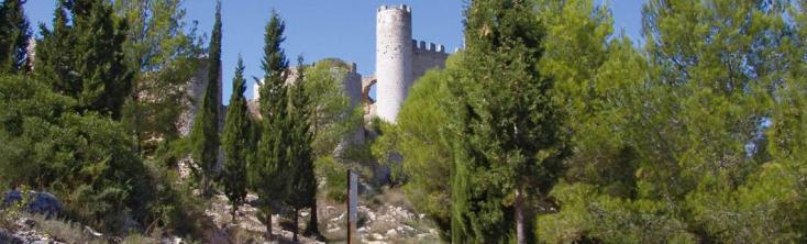 Camino al castillo de Alcoceber