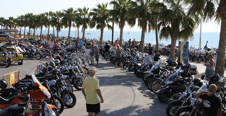 Concentraci&oacute;n de Harleys Davidson