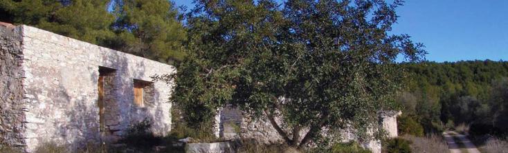 Corral de la viuda Alcoceber