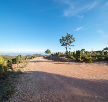 Logo Hoteles Servigroup