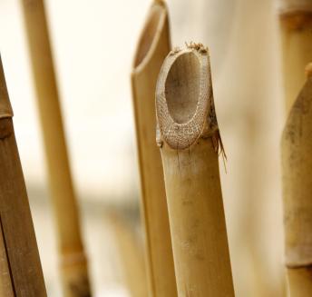 Logo Hoteles Servigroup