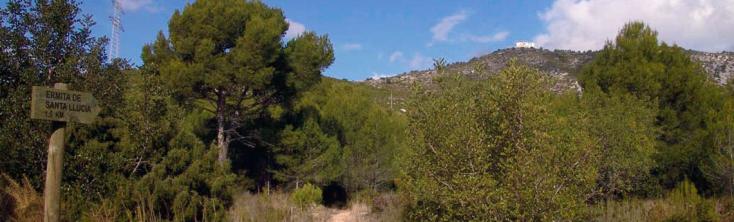Hermita de Santa Lucía Alcoceber