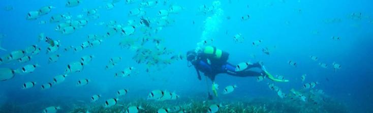 Fondo marino Mojacar