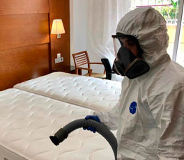 Proceso integral de higienización y desinfección sanitaria