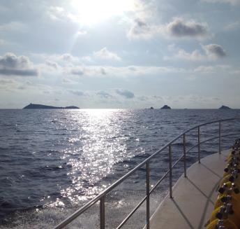 Logo Hoteles Servigroup