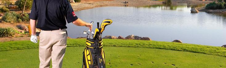 Manantiales del desierto