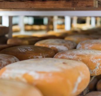 Logo Hoteles Servigroup