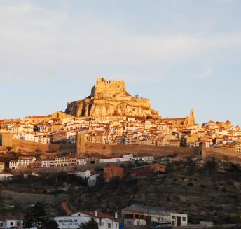 Morella