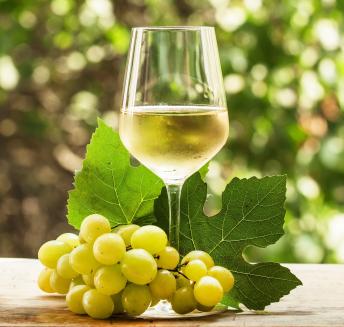 Logo Hoteles Servigroup