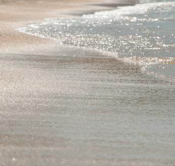 Logo Hoteles Servigroup