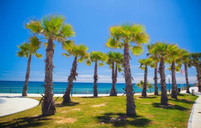 Orihuela Costa Alicante