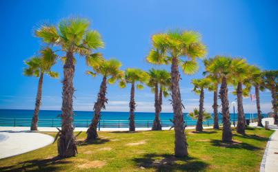 Orihuela Costa Alicante