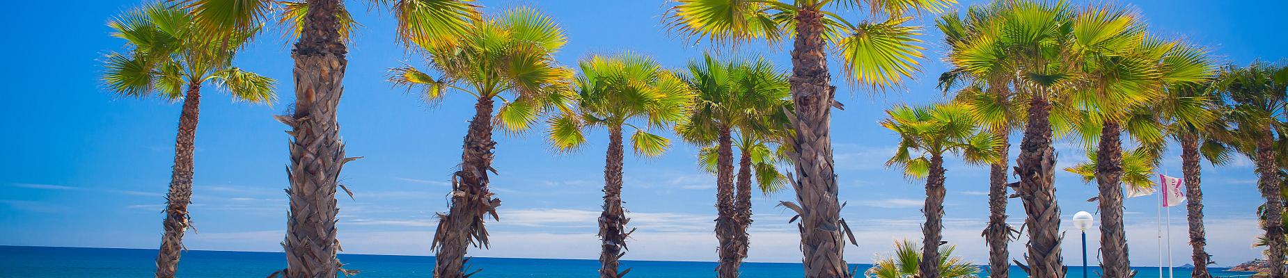 Orihuela Costa Alicante