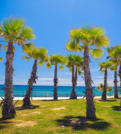 Orihuela Costa Alicante