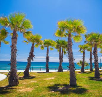 Playa Flamenca Orihuela