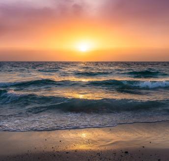 Playa de la Rumina y El Palmeral