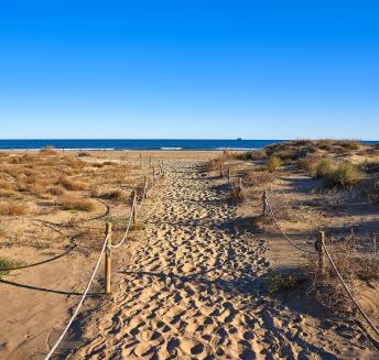 Logo Hoteles Servigroup