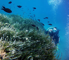 Bucear en Costa de Almería