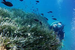 Bucear en Costa de Almería