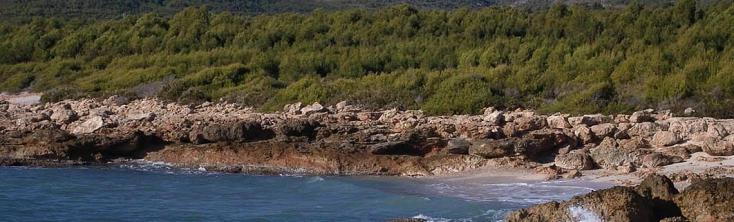 Ruta del mar de Alcoceber