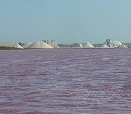 Instalaciones de las salinas de Torrevieja