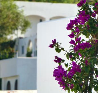 Logo Hoteles Servigroup