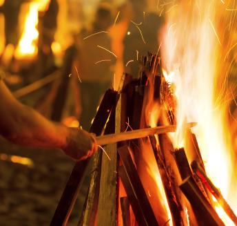 Logo Hoteles Servigroup