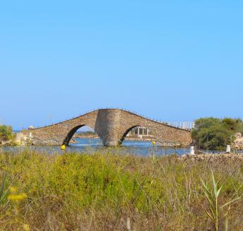 La Veneciola La Manga